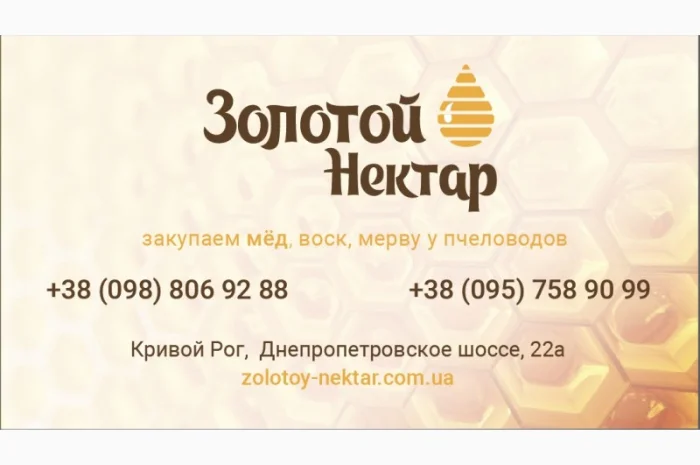 Закупаем рапсовый и подсолнечный мёд без антибиотиков- фото № 1