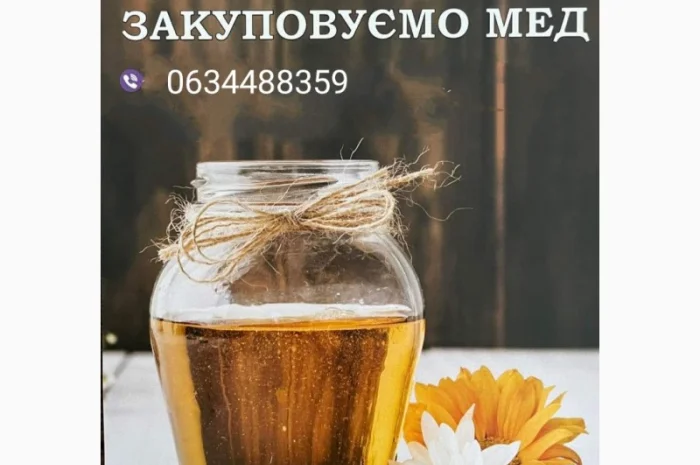 Закупівля меду урожаю 2024 року- фото № 1