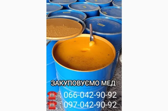 Закуповуємо мед у Запорізькій та Дніпропетровській областях- фото № 1