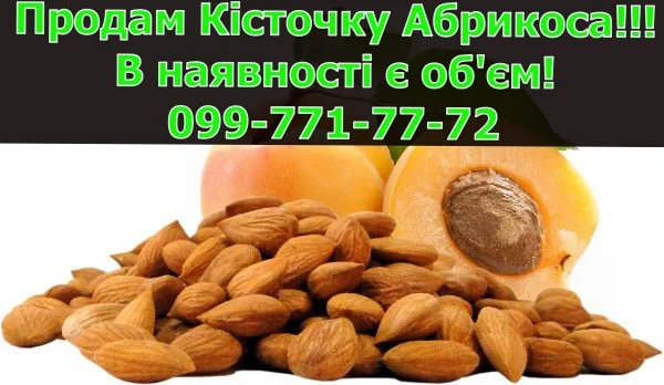Реалізується абрикосова кісточка, дрібним та великим оптом!Ціни уточнюйте- фото № 1