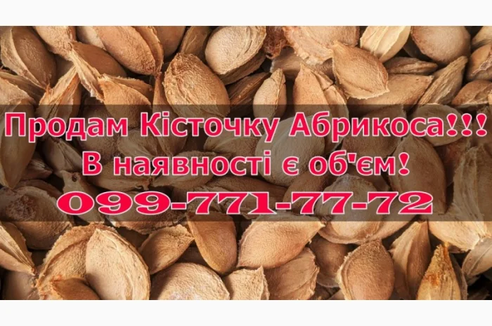 Продам Кісточку абрикоса- фото № 1