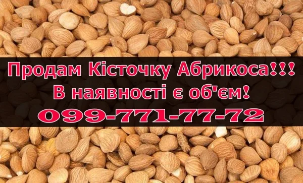 Реалізую кісточку абрикоса оптом- фото № 1