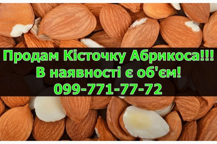 Реалізується Кісточка абрикоса, урожай 2024 р. Залишки уточнюйте- фото № 1