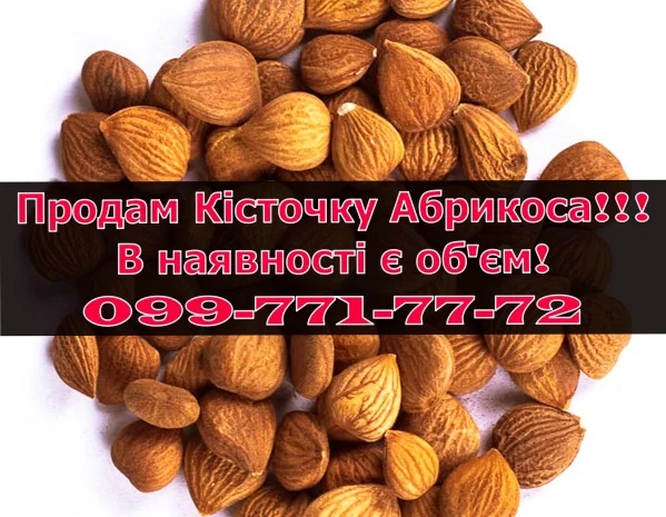Реалізую кісточки абрикоса!в наявності обєм!Ціна договірна- фото № 1