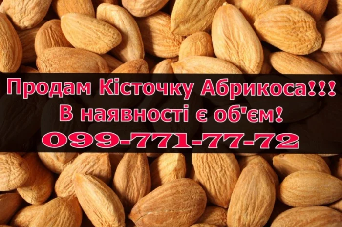 Продаю кісточку абрикоса за договірною ціною- фото № 1