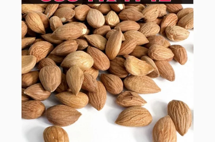 Продам Кісточку абрикоса! Великим та дрібним оптом- фото № 1