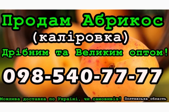 Продам Абрикос (калировка) за договірною ціною на постійній основі- фото № 1