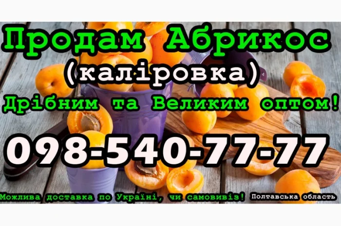 Продаю Абрикос Каліровка, на постійній основі- фото № 1