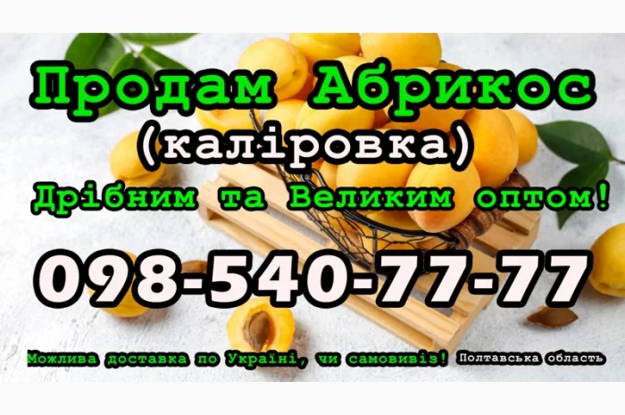 Продам Абрикос (калировка) за договірною ціною, урожай 2024- фото № 1