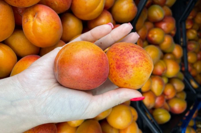 Продам абрикосу- фото № 3