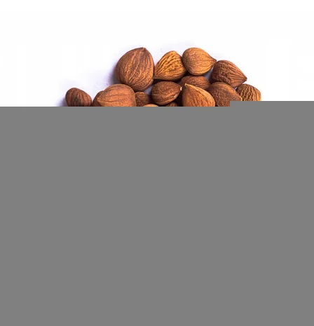 Ядро сладкой абрикосовой косточки- фото № 1