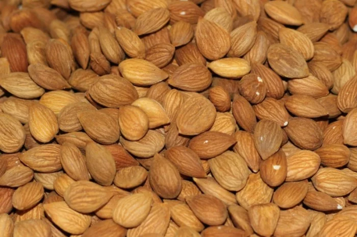 Ядро сладкой абрикосовой косточки- фото № 2