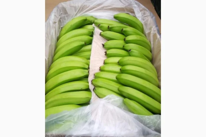 Закупівля бананів від виробників та імпортерів- фото № 3