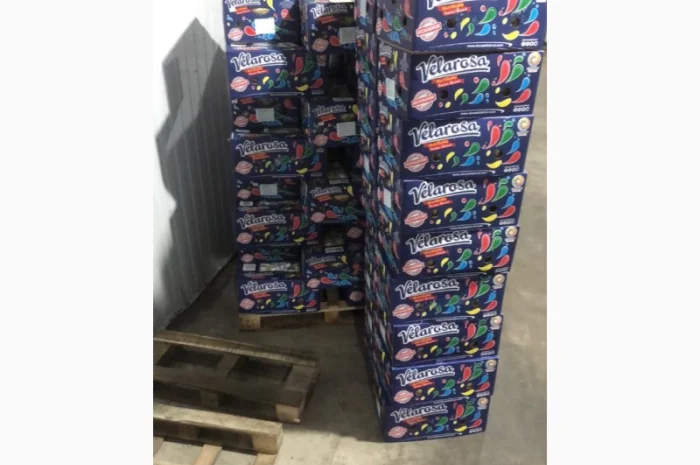 Банани оптом з Еквадору та Коста-Ріки- фото № 1