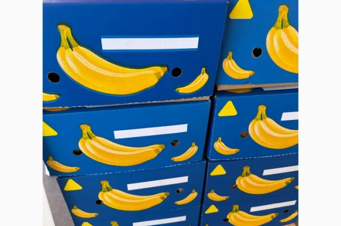 Банани з Єгипту оптом- фото № 8