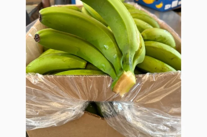 Банан Єгипет- фото № 2