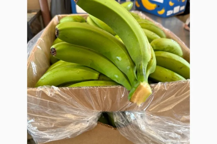 Банан Єгипет- фото № 3