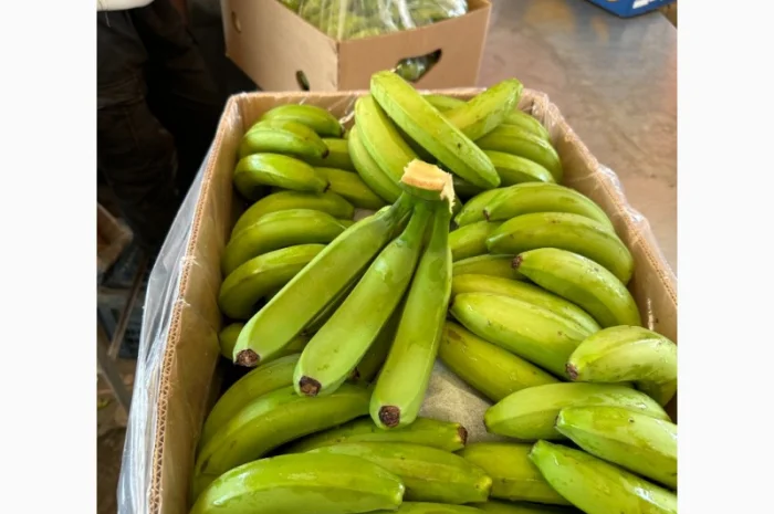 Банан Єгипет- фото № 4