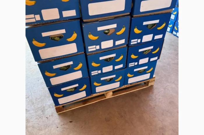 Банан Єгипет- фото № 6