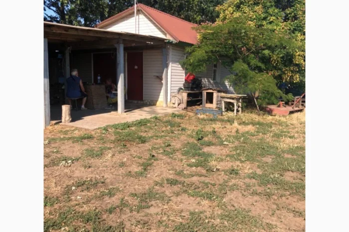 Продаж фермерського господарства з вирощування винограду- фото № 9