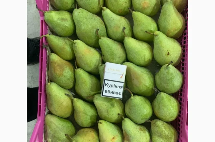 Продам Грушу Ноябрську (Листопадову)- фото № 3