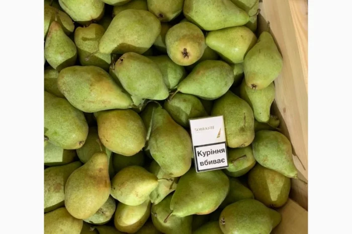 Продам Грушу Ноябрську (Листопадову)- фото № 4