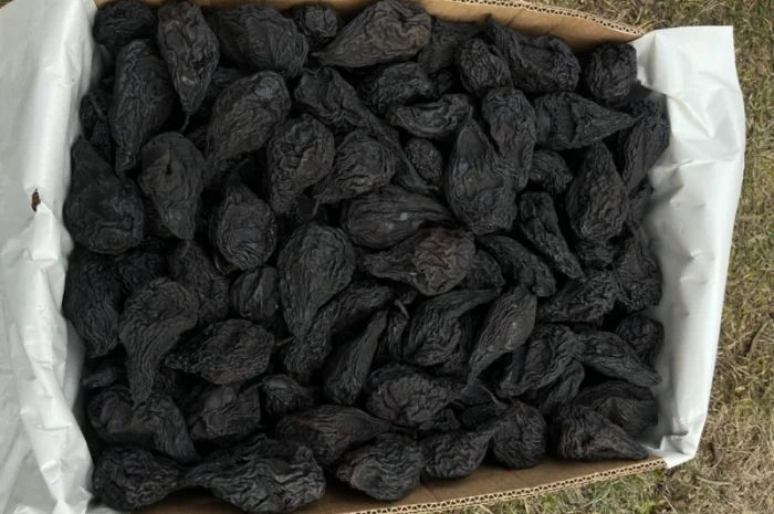 Продам груші сушені, сорт Ноябирська- фото № 2