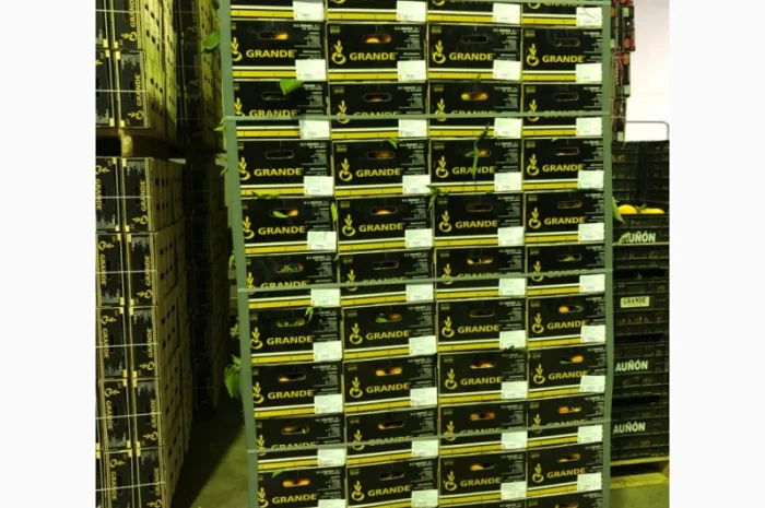 Мандарин Испания- фото № 1