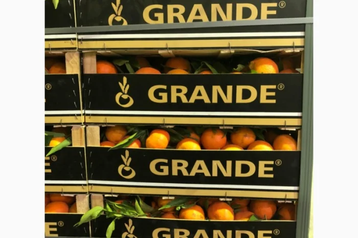 Мандарин Испания- фото № 4