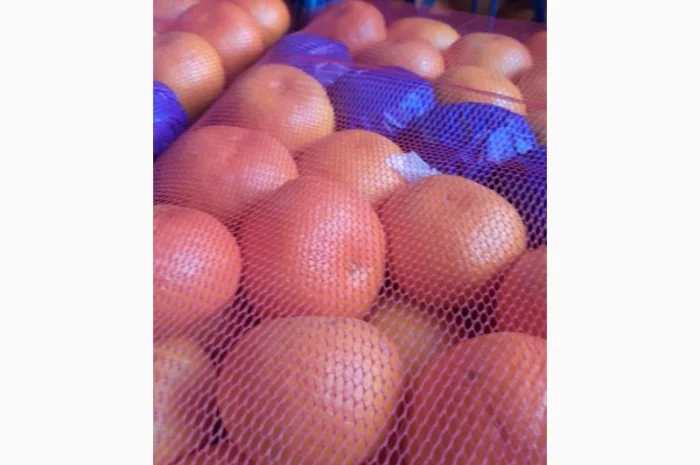 Продаются мандарины Окітсу, Сатсума оптом- фото № 1