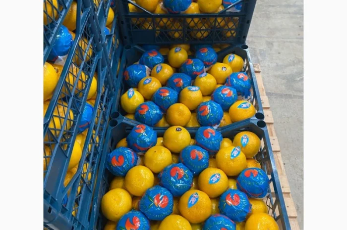 Мандарины экспорт, Турция- фото № 1