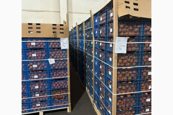 Мандарины оптом- фото № 1