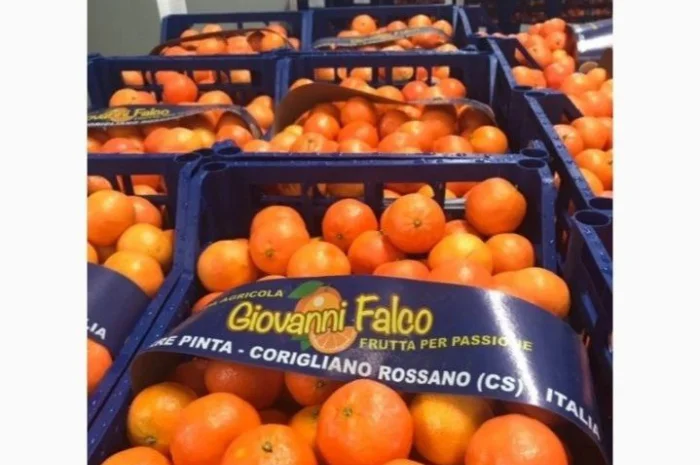 Продаж мандаринові оптом 3 вида- фото № 2