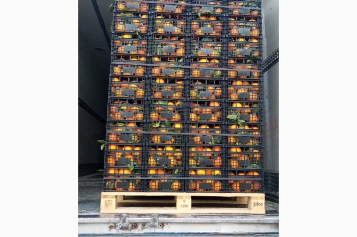 Мандарины- фото № 1