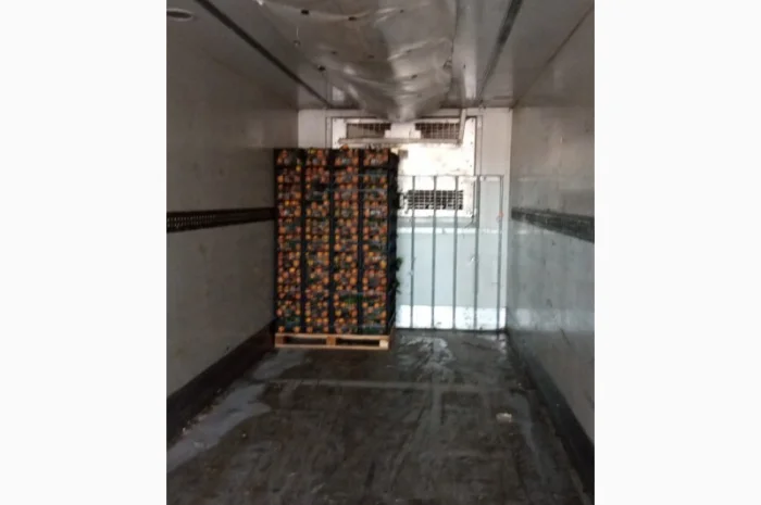 Мандарины- фото № 2