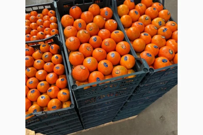Мандарин Голд Завозимо через Румунію, ціна в тоннах- фото № 3