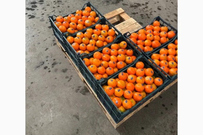 Мандарин Мираф Завозимо через Румунію, ціна в тоннах- фото № 1