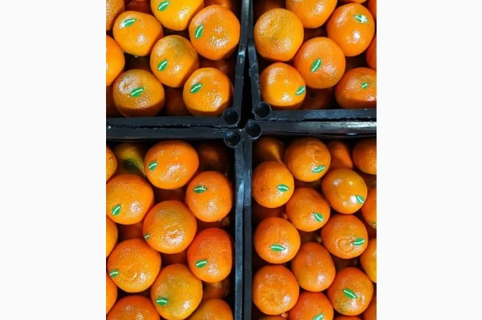 Мандарины свежие Египет- фото № 2