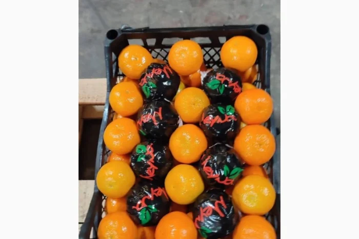 Мандарин NOVA- фото № 3