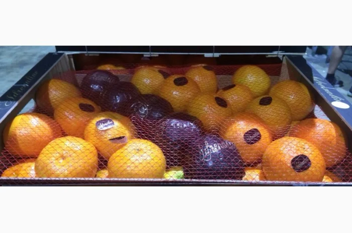 Iспанський Мандарин- фото № 4