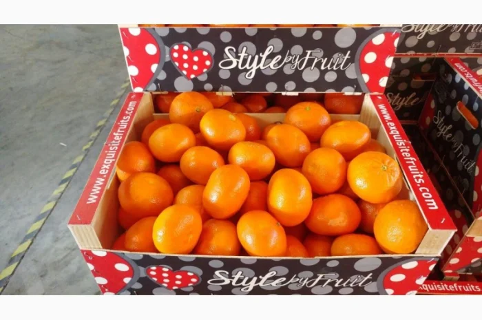 Iспанський Мандарин- фото № 6