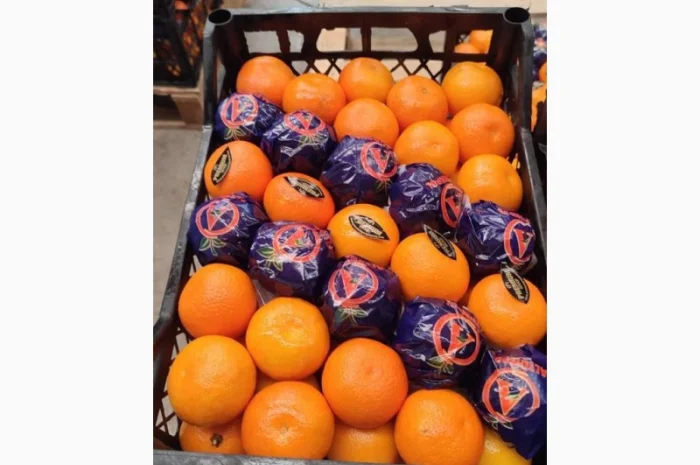 Мандарин MURKOT- фото № 1