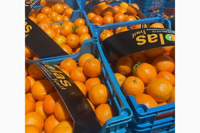 Мандарины ОПТ 36грн кг от 5т Турция без брака- фото № 1