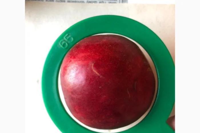 Оптовий продаж персиків-нектаринок- фото № 1