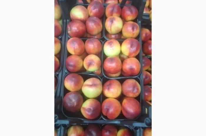 Персики урожаю 2023 року оптом- фото № 1