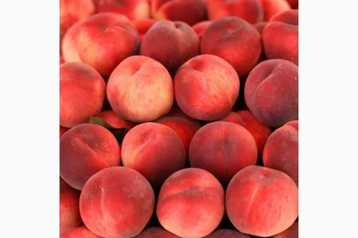 Куплю оптом персик, від 1 тони- фото № 1