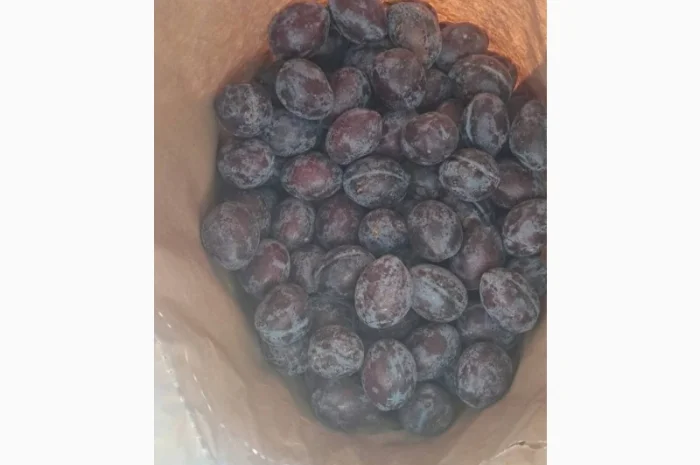 Продам сливу заморожену, сорт Стенлей- фото № 3