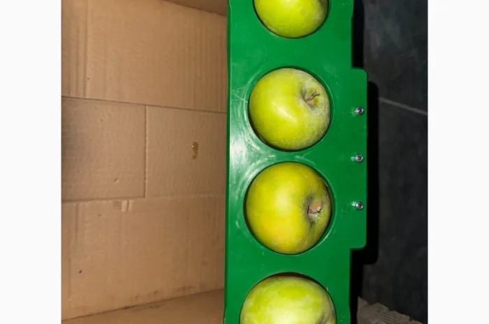 Яблука продаж Голден Делішес, Фуджі, Чемпіон.Лігол, Елізе, Симиренко- фото № 3