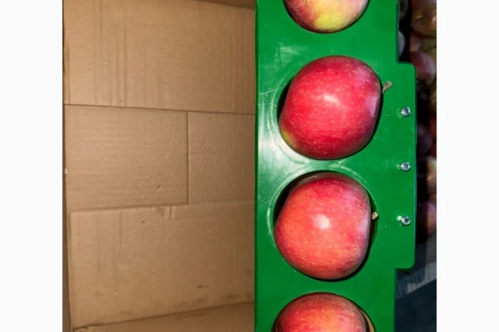 Яблука продаж Голден Делішес, Фуджі, Чемпіон.Лігол, Елізе, Симиренко- фото № 4