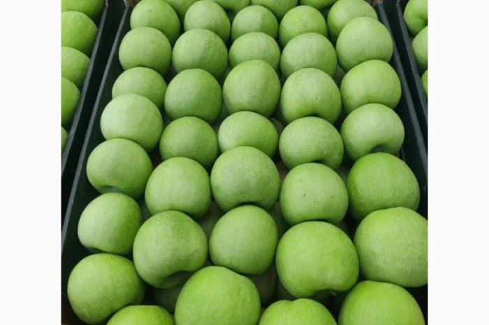 Продаємо яблуко оптом- фото № 1